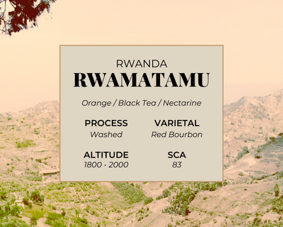 Rwamatamu